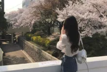 可以对字母圈s/dom说“不”吗?-瘾欢