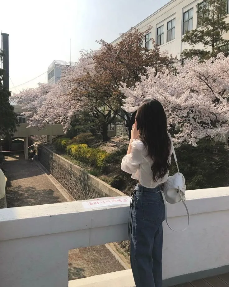 可以对字母圈s/dom说“不”吗? 可以对字母圈s/dom说“不”吗?