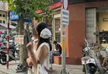 字母圈新手指南-瘾欢