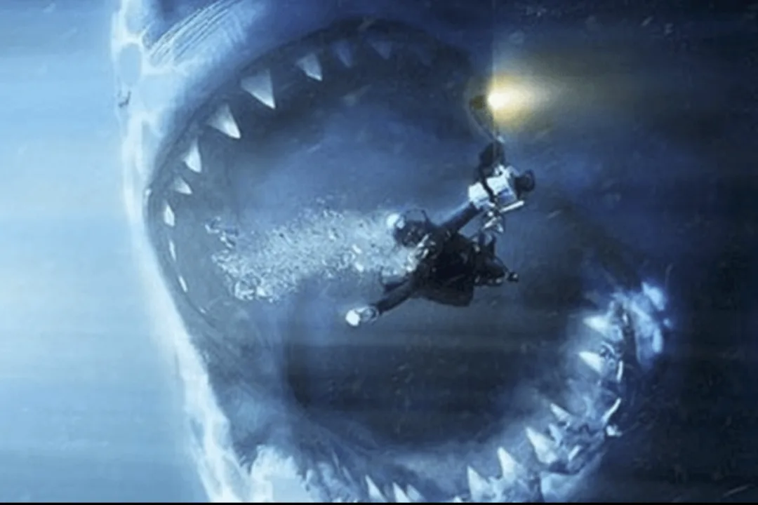 字母圈“丸吞”是什么正经XP吗 字母圈“丸吞”是什么正经XP吗