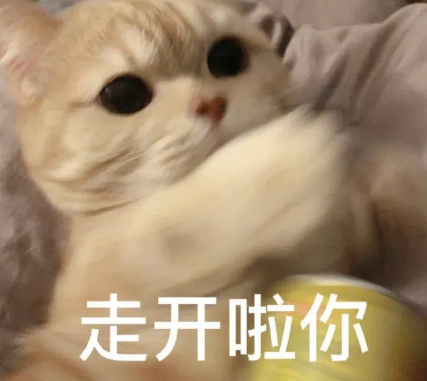 字母圈《Sub清醒指南 拿好不谢⌯'▾'⌯》 字母圈《Sub清醒指南 拿好不谢⌯'▾'⌯》