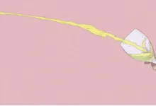 “恋尿”是什么正经XP吗?-瘾欢