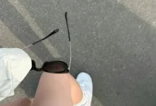 字母圈界限与安全词-瘾欢