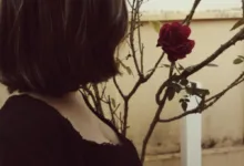 在破碎的地方变得更坚强-瘾欢