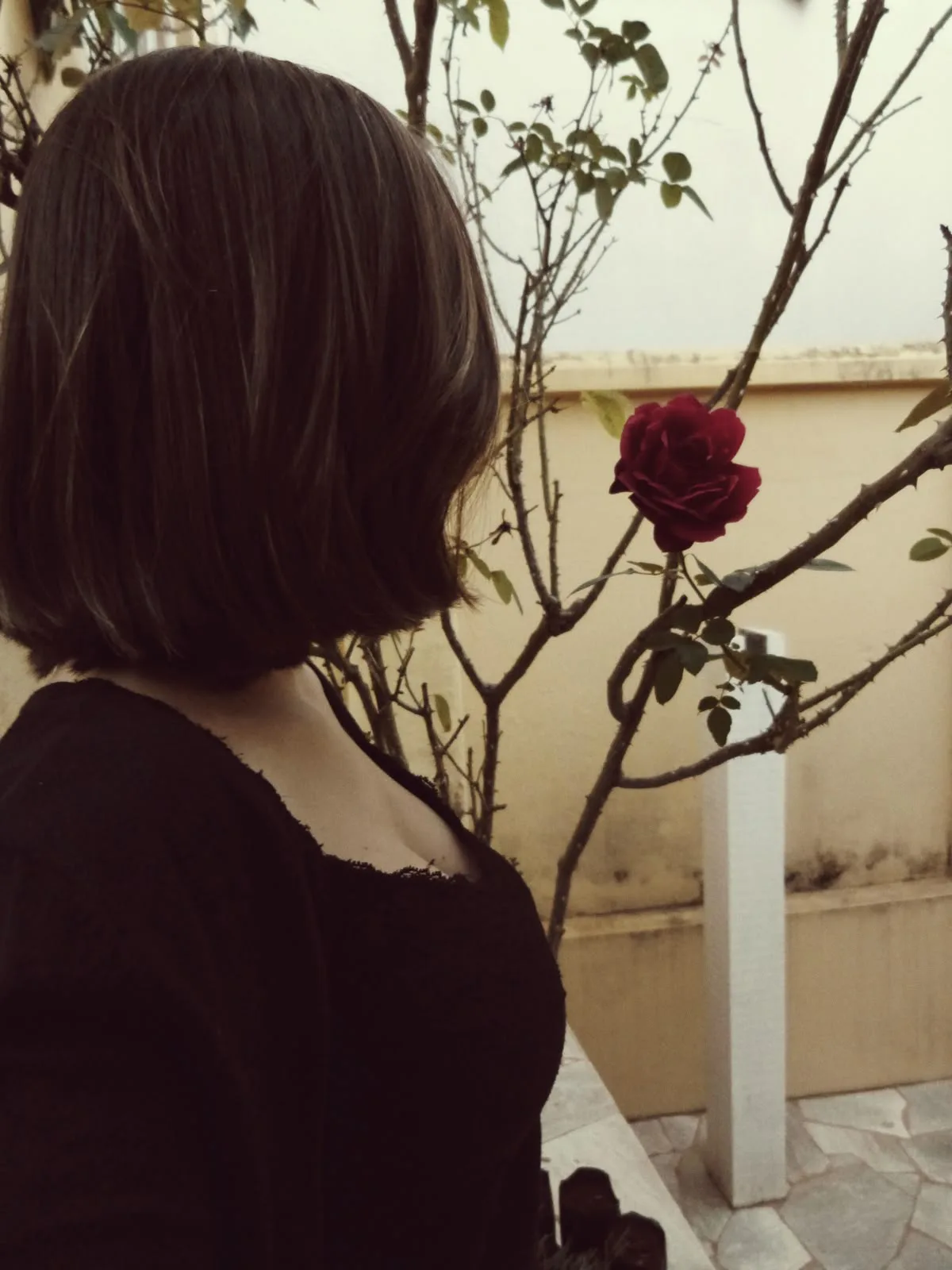 在破碎的地方变得更坚强 在破碎的地方变得更坚强