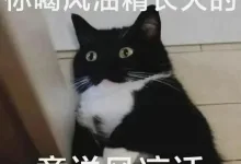 dirty talk指南(M/sub专供版)-瘾欢