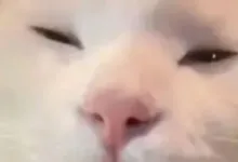 性缩力大赛dirty talk方言大赏-瘾欢