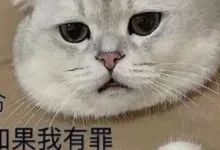 性缩力大赛dirty talk方言大赏（第三期）-瘾欢