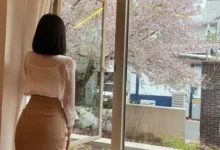 字母圈科普篇：网调-瘾欢