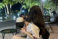 调教像屁，人生像屎。-瘾欢