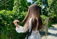 十年网调经验!别TM教我当S-瘾欢